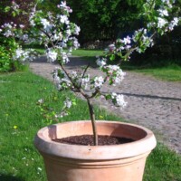 Schloss Neuhausen, Prignitz, Hochzeiten, Seminare, Workshops, Conventions, Scrum