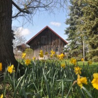 Ferienhaus Ilse Bilse, Prignitz
